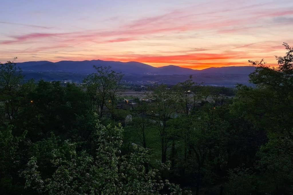 Gite De 70M² Avec Vue Sur Le Massif Du Pilat Clonas-sur-Vareze ภายนอก รูปภาพ