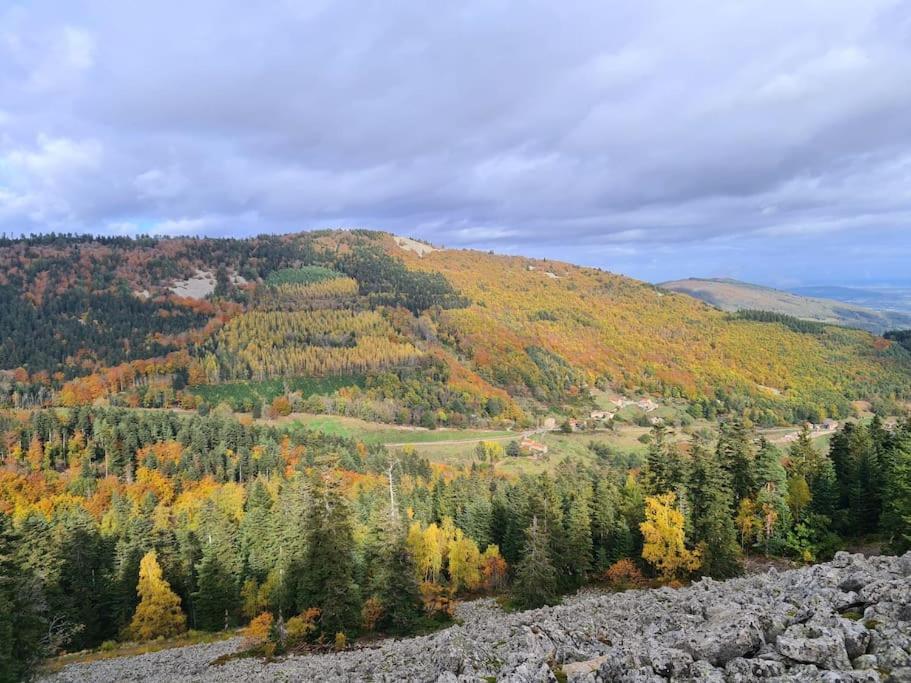 Gite De 70M² Avec Vue Sur Le Massif Du Pilat Clonas-sur-Vareze ภายนอก รูปภาพ