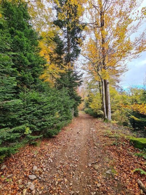 Gite De 70M² Avec Vue Sur Le Massif Du Pilat Clonas-sur-Vareze ภายนอก รูปภาพ