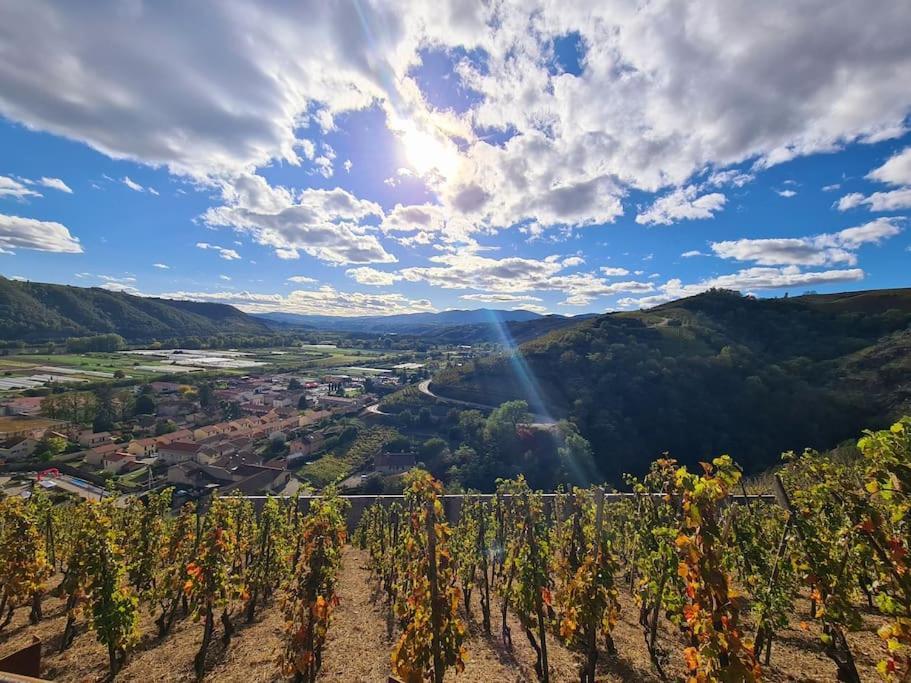 Gite De 70M² Avec Vue Sur Le Massif Du Pilat Clonas-sur-Vareze ภายนอก รูปภาพ